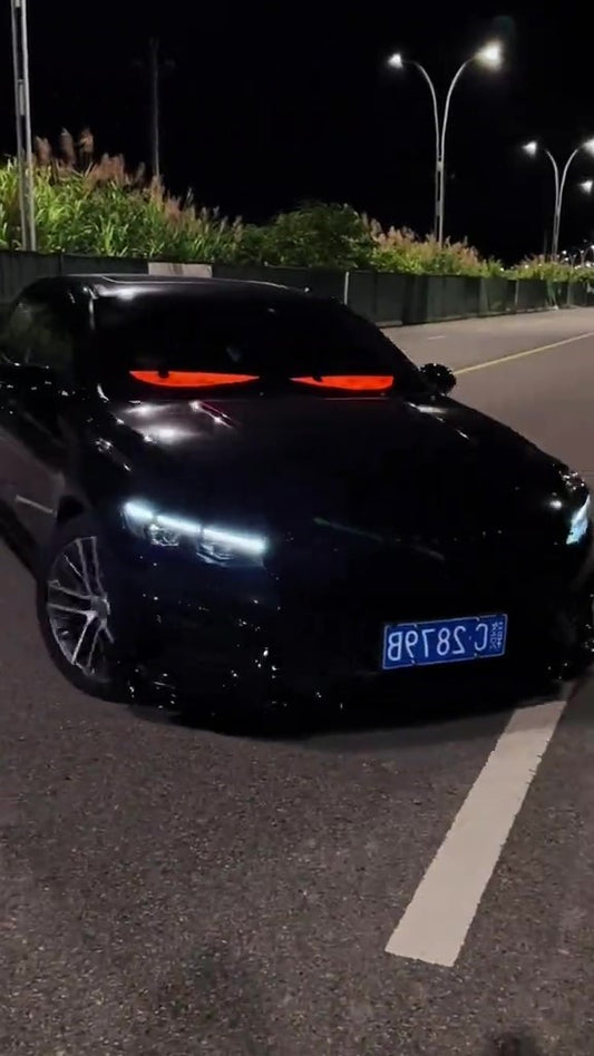 2PCS Devil Eyes Light For Car Window Flexible LED Display Screen Panel Demon Dynamic Big Eye Lights For Windshield